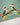 ACC4814_SAG_2_1760403163