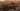 Tipperary Station Blog - Cattle