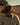 ACC3930_ACN_7_1751349344