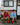ACC5442_ROO_1_1792709433