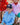 ACC5444_NAVRED_1_1792707907