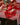 ACC5448_ROO_1_1792711953