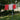 ACC5449_ROO_1_1792709154