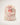 ACC5450_NAT_4_1792720936