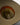 ACC5638_BRAN_5_1786679364