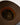 ACC5640_FAWN_5_1786685943