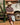 MPO4760_SHI_2_1759474140