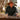 MSH5283AC_JAD_1_1785726556