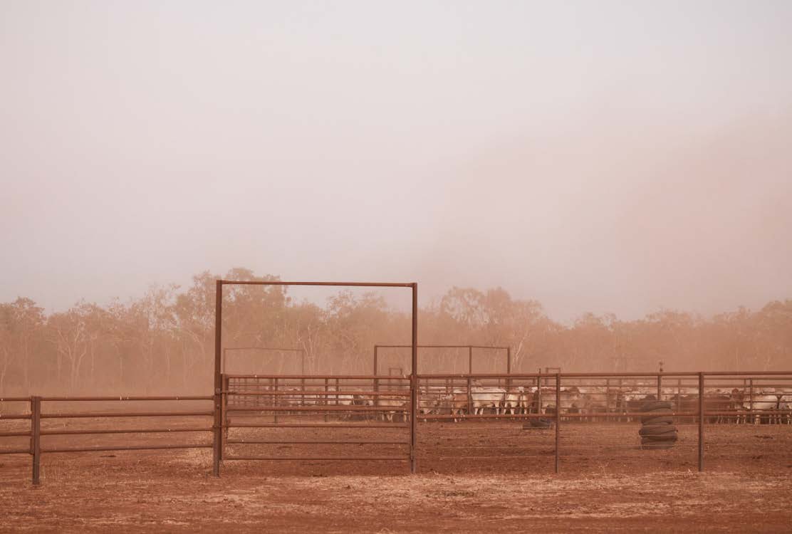 Tipperary Station Video