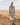 WTO4699_EUCALYPT_2_1757295687